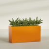 Brisbane Extra Large Long Rectangle Fiberglass Planter - 60 in x 24 in x 32 in - Gloss Tangerine - Gloss Tangerine,60 in x 24 in x 32 in
