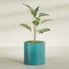 Rio Grande Medium Round Fiberglass Planter - 22 in x 22 in x 22 in - Satin Sea Foam - Satin Sea Foam,22 in x 22 in x 22 in