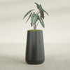 Saigon Large Tapered Round Planter - 16 in x 21 in x 36 in - Matte Charcoal - Matte Charcoal,16.4 in x 20.7 in x 36 in