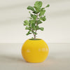 Globe Large Sphere Fiberglass Planter - 30 in x 30 in x 24 in - Gloss Saffron - Gloss Saffron,30 in x 30 in x 24 in