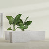 Tapered Rectangle - 48in x 12in x 18in - StoneLight - Greystone - StoneLight - Greystone,48 in x 12 in x 18 in