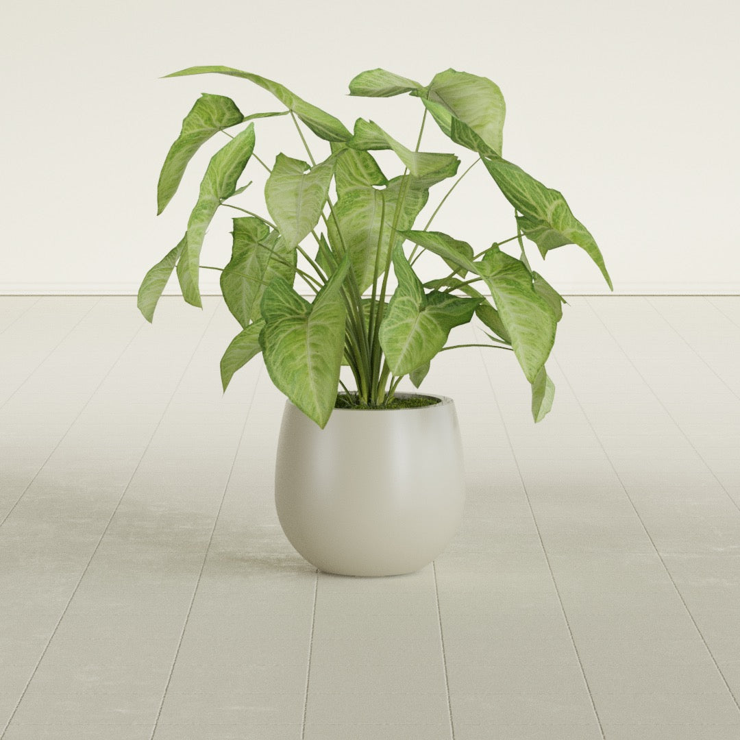 Westfield - 10in diam. x 9in - Satin Beige - Satin Beige,10 in diam. x 9 in H