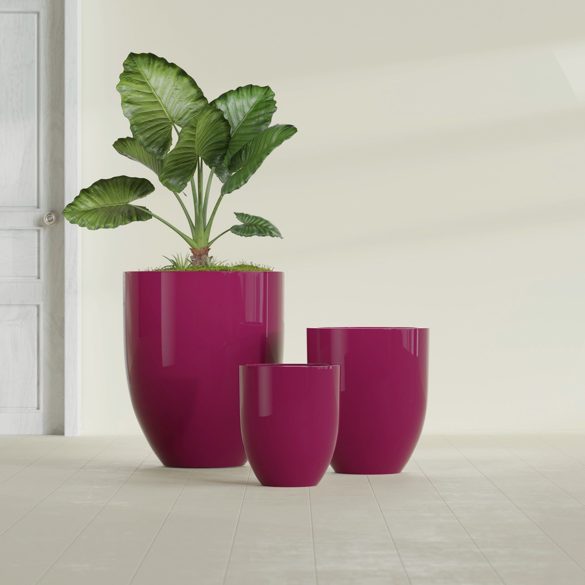 Valencia Large Round Fiberglass Planter - 27 in x 27 in x 31 in - Gloss Eggplant - Gloss Eggplant,27 in x 27 in x 31 in