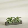 Salon Large Tall Rectangle Fiberglass Planter - 42 in x 8 in x 8 in - Matte Bronze - Matte Bronze,42 in x 8 in x 8 in