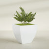 Lima Large Tapered Square Fiberglass Planter - 30 in x 30 in x 30 in - Matte White - Matte White,30 in x 30 in x 30 in
