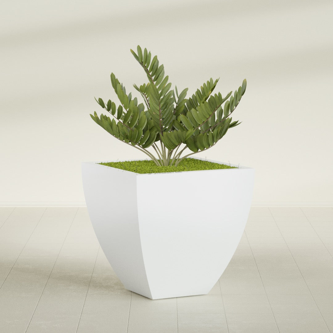 Lima Large Tapered Square Fiberglass Planter - 30 in x 30 in x 30 in - Matte White - Matte White,30 in x 30 in x 30 in