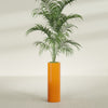 Corry Large Tall Cylinder Fiberglass Planter - 10 in x 10 in x 30 in - Gloss Tangerine - Gloss Tangerine,10 in x 10 in x 30 in