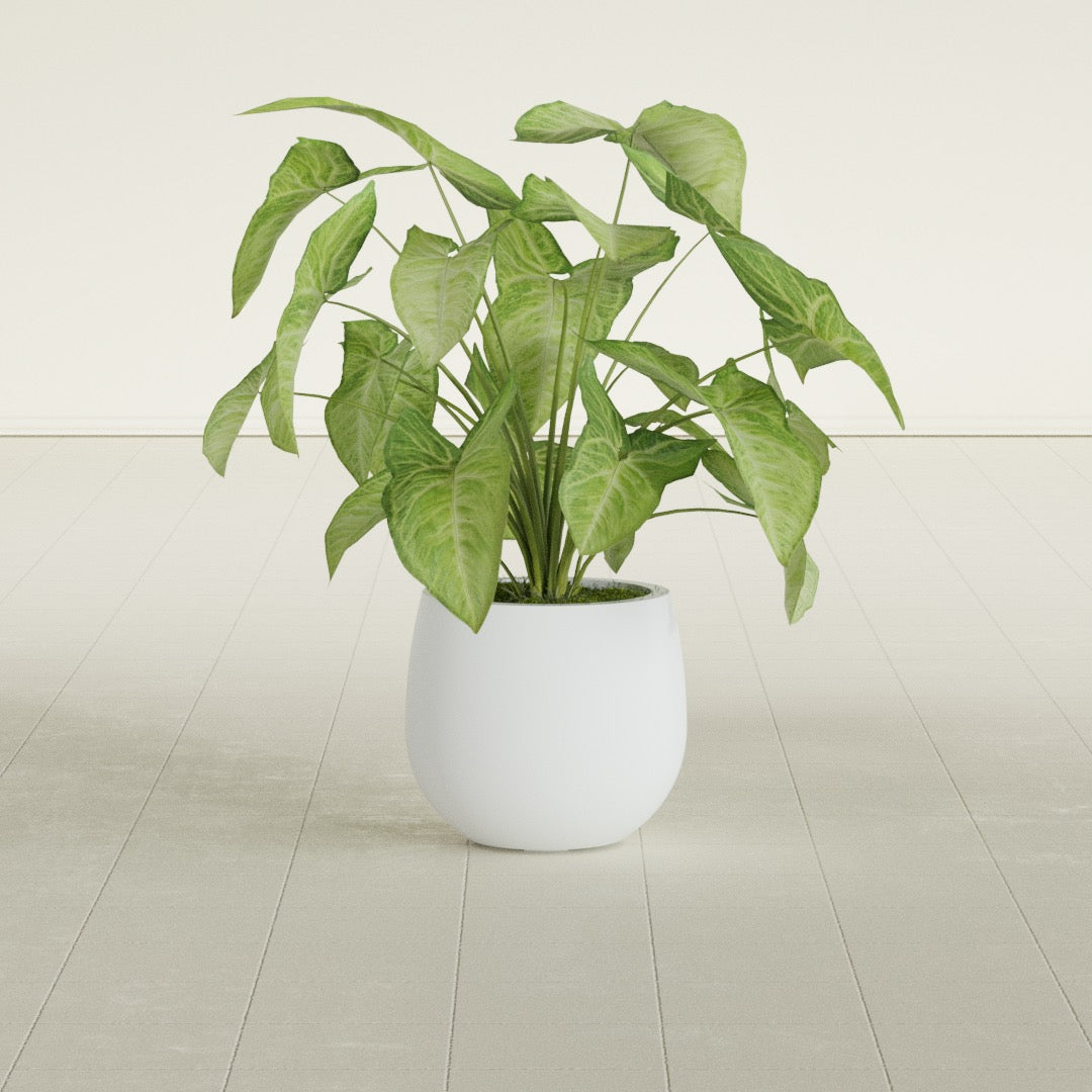 Westfield - 10in diam. x 9in - Gloss White - Gloss White,10 in diam. x 9 in H