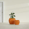 Fishbowl Small Round Fiberglass Planter - 16 in x 16 in x 14 in - Gloss Tangerine - Gloss Tangerine,16 in x 16 in x 14 in