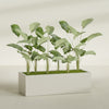 Torino Extra Large Wide Rectangle Fiberglass Planter - 60 in x 24 in x 18 in - Satin Beige - Satin Beige,60 in x 24 in x 18 in
