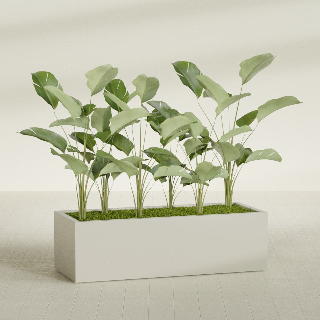 Torino Extra Large Wide Rectangle Fiberglass Planter - 60 in x 24 in x 18 in - Satin Beige - Satin Beige,60 in x 24 in x 18 in