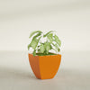 Lima Small Tapered Square Fiberglass Planter - 16 in x 16 in x 16 in - Gloss Tangerine - Gloss Tangerine,16 in x 16 in x 16 in