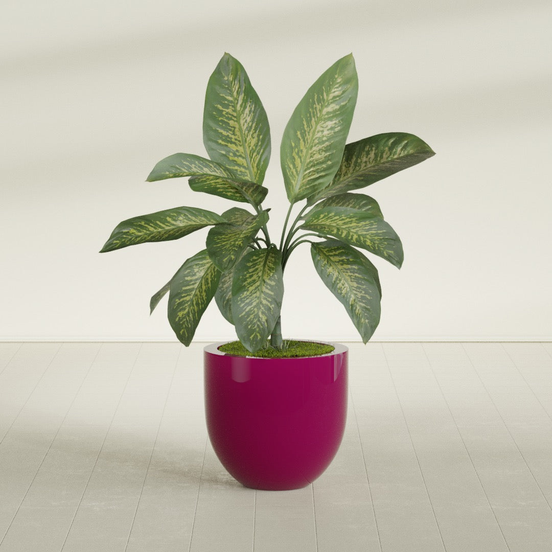 Alzira Medium Round Fiberglass Planter - 23 in x 23 in x 22 in - Gloss Eggplant - Gloss Eggplant,23 in x 23 in x 22 in