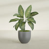 Alzira Medium Round Fiberglass Planter - 23 in x 23 in x 22 in - Metallic Gunmetal - Metallic Gunmetal,23 in x 23 in x 22 in