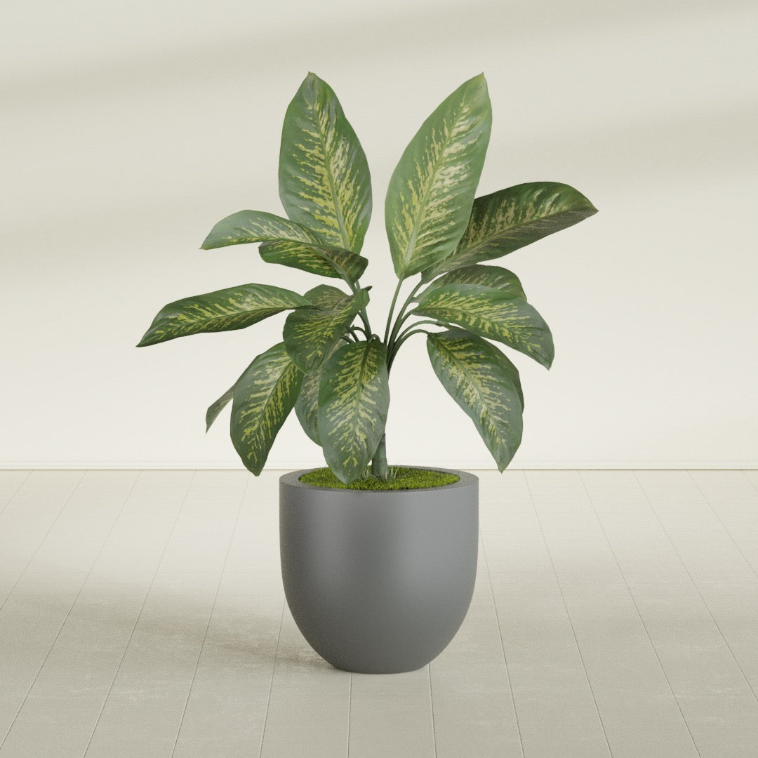 Alzira Medium Round Fiberglass Planter - 23 in x 23 in x 22 in - Metallic Gunmetal - Metallic Gunmetal,23 in x 23 in x 22 in