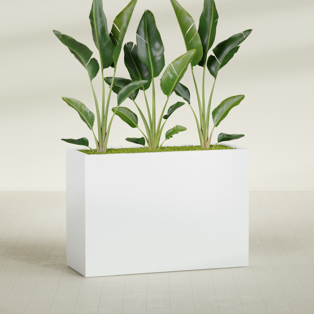 Darwin Extra Large Long Rectangle Fiberglass Planter - 60 in x 24 in x 42 in - Matte White - Matte White,60 in x 24 in x 42 in