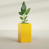 Darwin Large Tall Rectangle Fiberglass Planter - 24 in x 24 in x 42 in - Gloss Saffron - Gloss Saffron,24 in x 24 in x 42 in