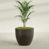 Wannsee Extra Large Round Fiberglass Planter - 50 in x 50 in x 44 in - Matte Brown - Matte Brown,50 in x 50 in x 44 in