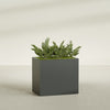 Brisbane Large Rectangle Fiberglass Planter - 36 in x 24 in x 32 in - Matte Charcoal - Matte Charcoal,36 in x 24 in x 32 in