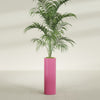 Corry Large Tall Cylinder Fiberglass Planter - 10 in x 10 in x 30 in - Gloss Pink Violet - Gloss Pink Violet,10 in x 10 in x 30 in