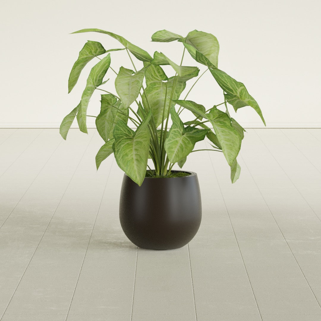 Westfield - 10in diam. x 9in - Matte Brown - Matte Brown,10 in diam. x 9 in H