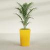Tegel Medium Round Fiberglass Planter - 18 in x 18 in x 26 in - Gloss Saffron - Gloss Saffron,18 in x 18 in x 26 in