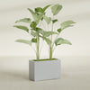 Tolga Large Rectangle Fiberglass Planter - 36 in x 16 in x 24 in - Metallic Silver - Metallic Silver,36 in x 16 in x 24 in