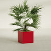 Montroy Medium Cube Square Fiberglass Planter - 24 in x 24 in x 24 in - Gloss Red - Gloss Red,24 in x 24 in x 24 in