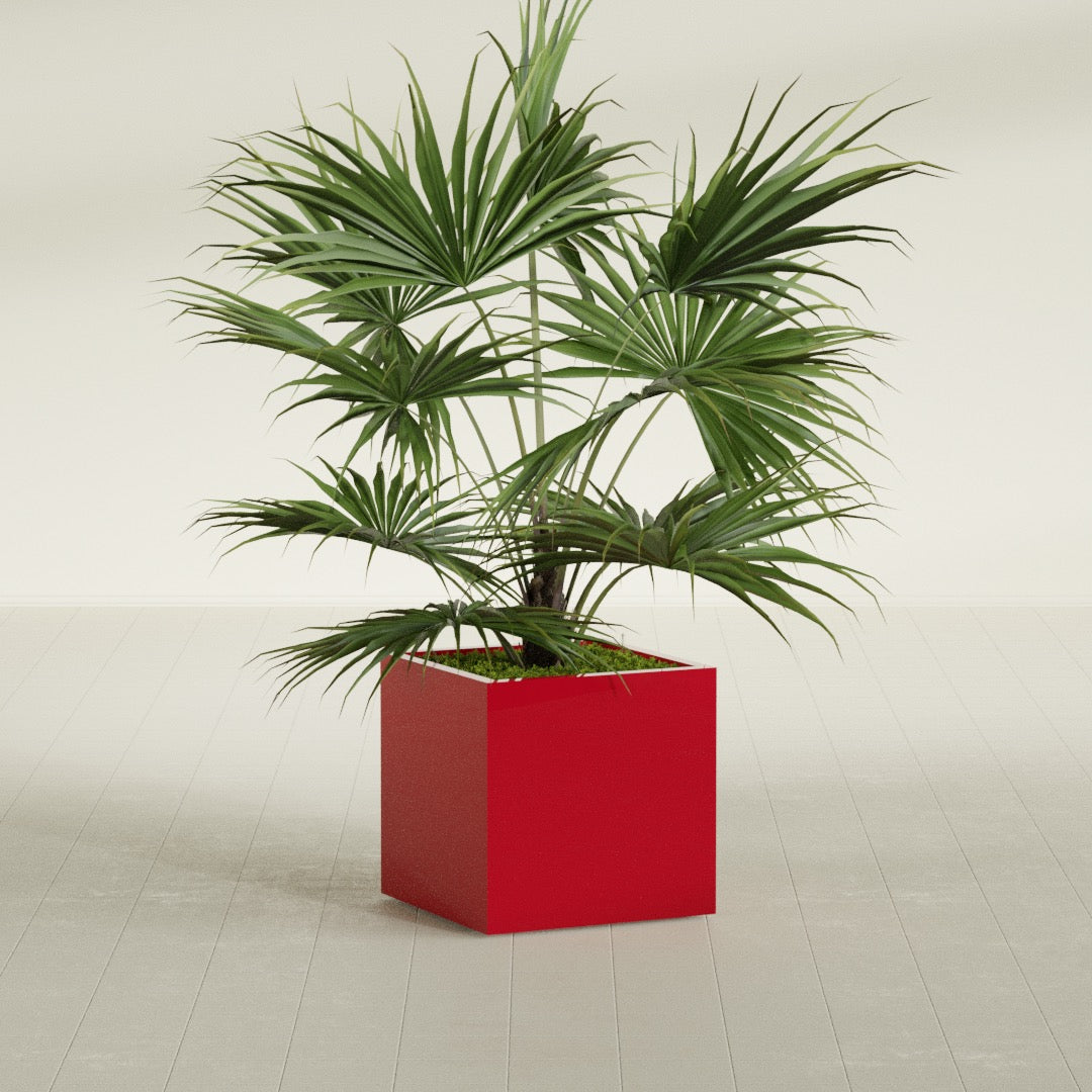 Montroy Medium Cube Square Fiberglass Planter - 24 in x 24 in x 24 in - Gloss Red - Gloss Red,24 in x 24 in x 24 in