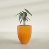 Alicante Medium Round Fiberglass Planter - 22 in x 22 in x 27 in - Gloss Tangerine - Gloss Tangerine,22 in x 22 in x 27 in