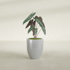 Valencia Small Round Fiberglass Planter - 15 in x 15 in x 18 in - Metallic Silver - Metallic Silver,15 in x 15 in x 18 in