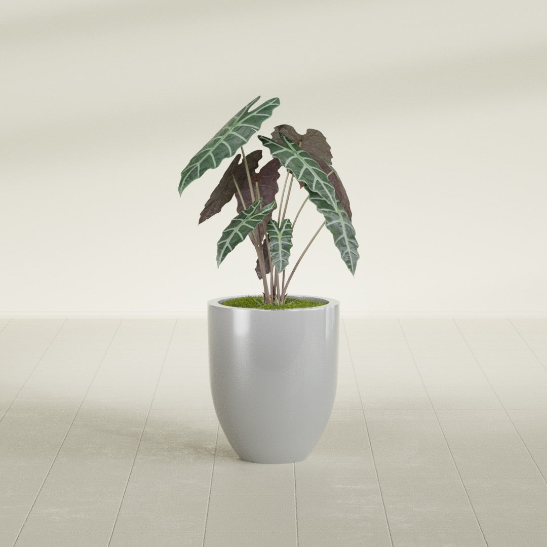 Valencia Small Round Fiberglass Planter - 15 in x 15 in x 18 in - Metallic Silver - Metallic Silver,15 in x 15 in x 18 in