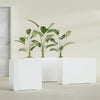 Milano Extra Large Narrow Rectangle Fiberglass Planter - 48 in x 10 in x 24 in - Gloss White - Gloss White,48 in x 10 in x 24 in