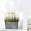Paris Large Rectangle Planter - 31.5 in x 15 in x 15.75 in - Grey - Grey,31.5 in x 15 in x 15.75 in