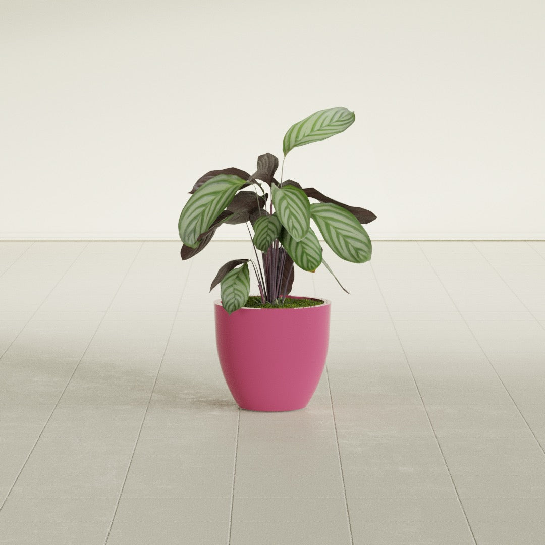 Wannsee Small Round Fiberglass Planter - 15 in x 15 in x 13 in - Gloss Pink Violet - Gloss Pink Violet,15 in x 15 in x 13 in