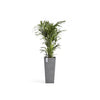 Rotterdam Medium Tall Square Planter - 12.6 in x 12.6 in x 27.5 in - Grey - Grey,12.5 in x 12.5 in x 27.5 in,Planter Only