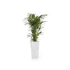 Rotterdam Mid High Medium Square Planter - 12.25 in x 12.25 in x 22 in - Pure White - Pure White,12.25 in x 12.25 in x 22 in,Planter Only