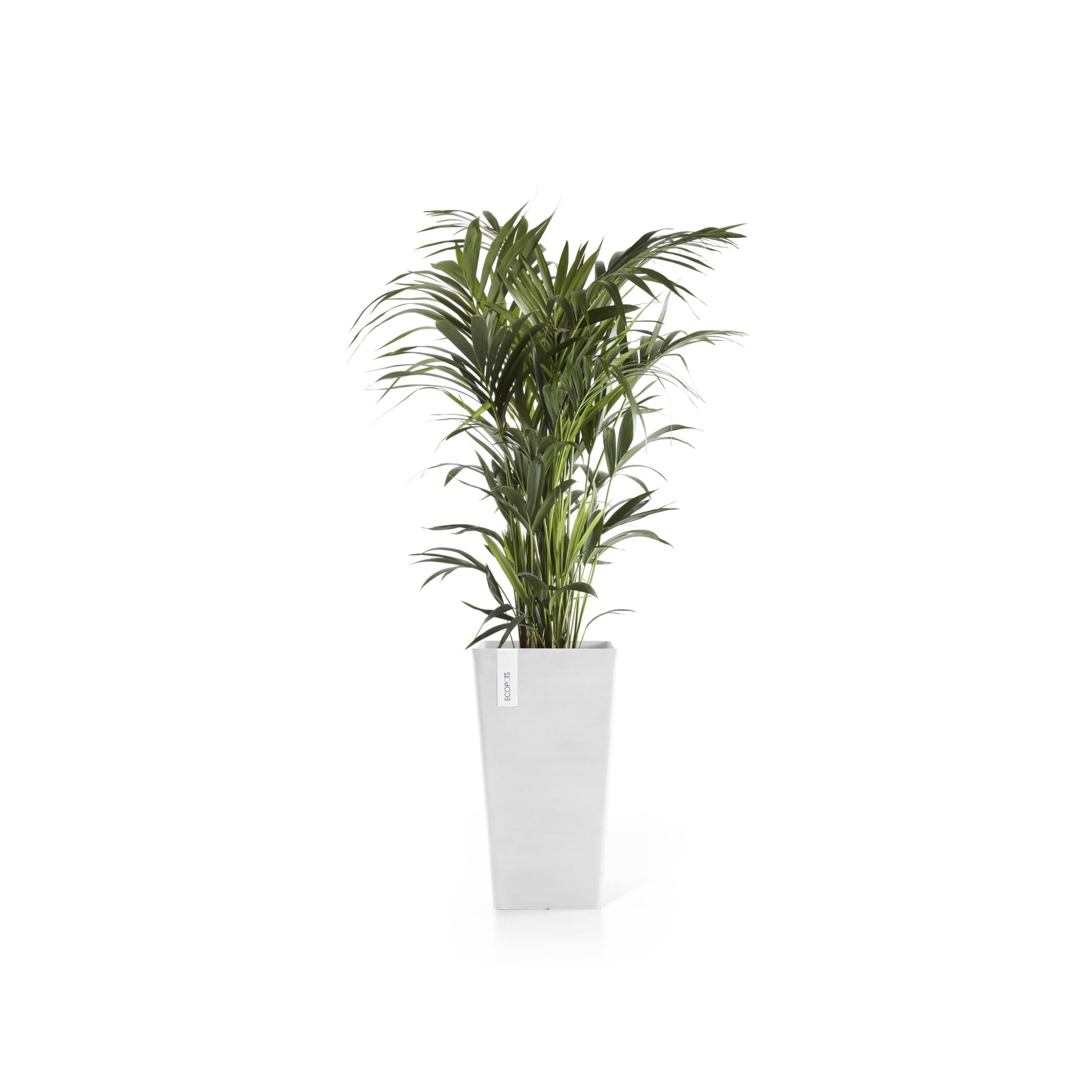 Rotterdam Mid High Medium Square Planter - 12.25 in x 12.25 in x 22 in - Pure White - Pure White,12.25 in x 12.25 in x 22 in,Planter Only