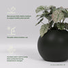 Globe Large Sphere Fiberglass Planter - 30 in x 30 in x 24 in - Matte Black - Matte Black,30 in x 30 in x 24 in