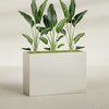 Darwin Extra Large Long Rectangle Fiberglass Planter - 60 in x 24 in x 42 in - Satin Beige - Satin Beige,60 in x 24 in x 42 in