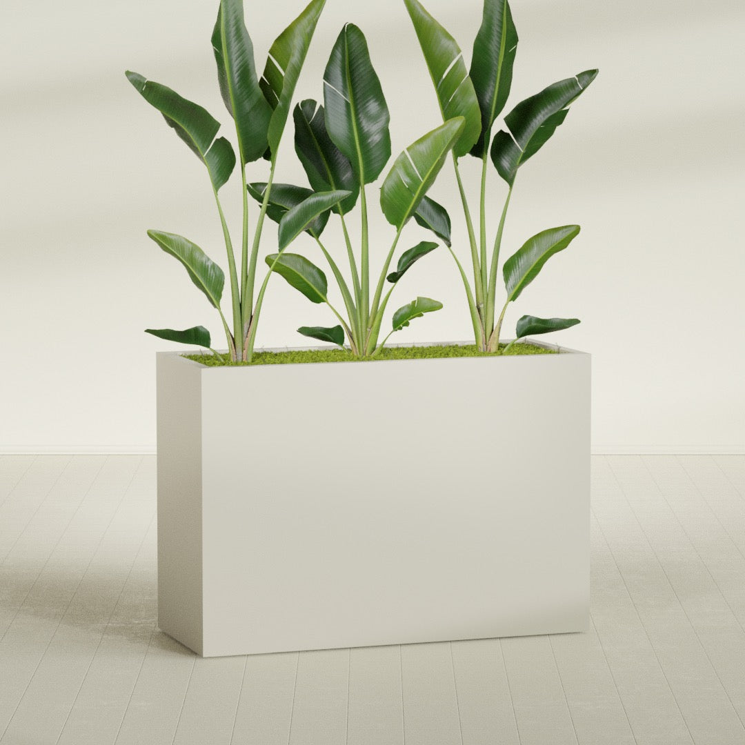 Darwin Extra Large Long Rectangle Fiberglass Planter - 60 in x 24 in x 42 in - Satin Beige - Satin Beige,60 in x 24 in x 42 in