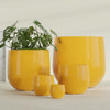 Westfield - 10in diam. x 9in - Gloss Saffron - Gloss Saffron,10 in diam. x 9 in H