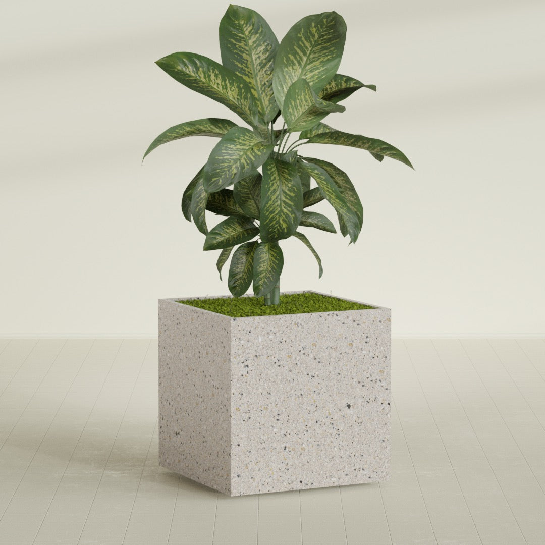 Cube - 40in x 40in x 40in - StoneLight - Pearlstone - StoneLight - Pearlstone,40 in x 40 in x 40 in