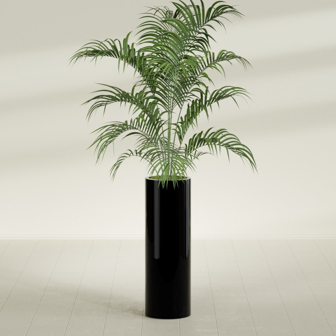 Corry Large Tall Cylinder Fiberglass Planter - 12 in x 12 in x 36 in - Gloss Black - Gloss Black,30 in x 30 in x 32 in