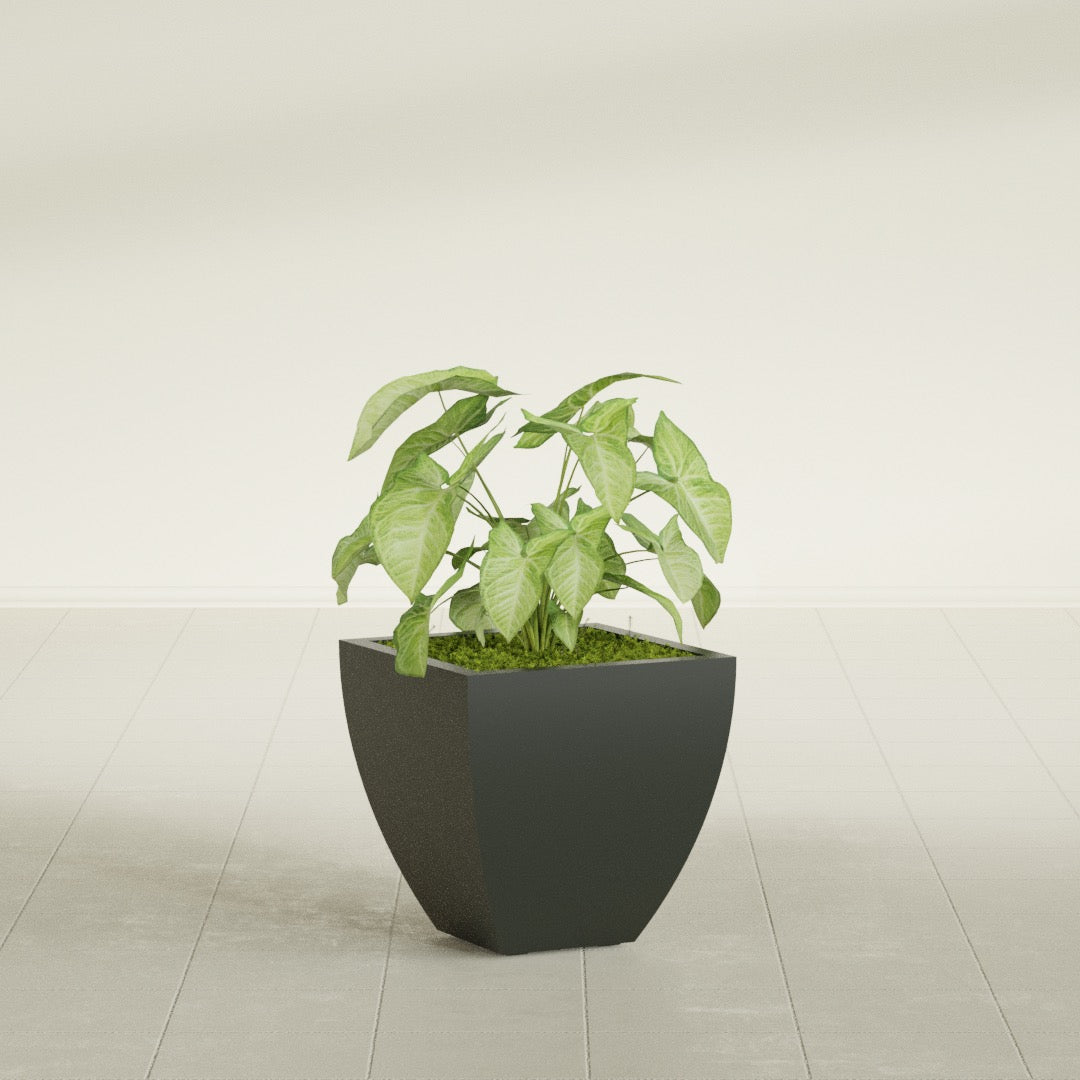 Lima Small Tapered Square Fiberglass Planter - 16 in x 16 in x 16 in - Matte Charcoal - Matte Charcoal,16 in x 16 in x 16 in