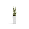 Rotterdam High Medium Square Planter - 12.6 in x 12.6 in x 27.5 in - Planter + Saucer - Pure White - Pure White,12.5 in x 12.5 in x 27.5 in,Planter + Saucer