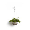 Hanging Brussels Small Bowl Planter - 13 in x 13 in x 6.5 in - Taupe - Taupe,13 in x 13 in x 6.5 in