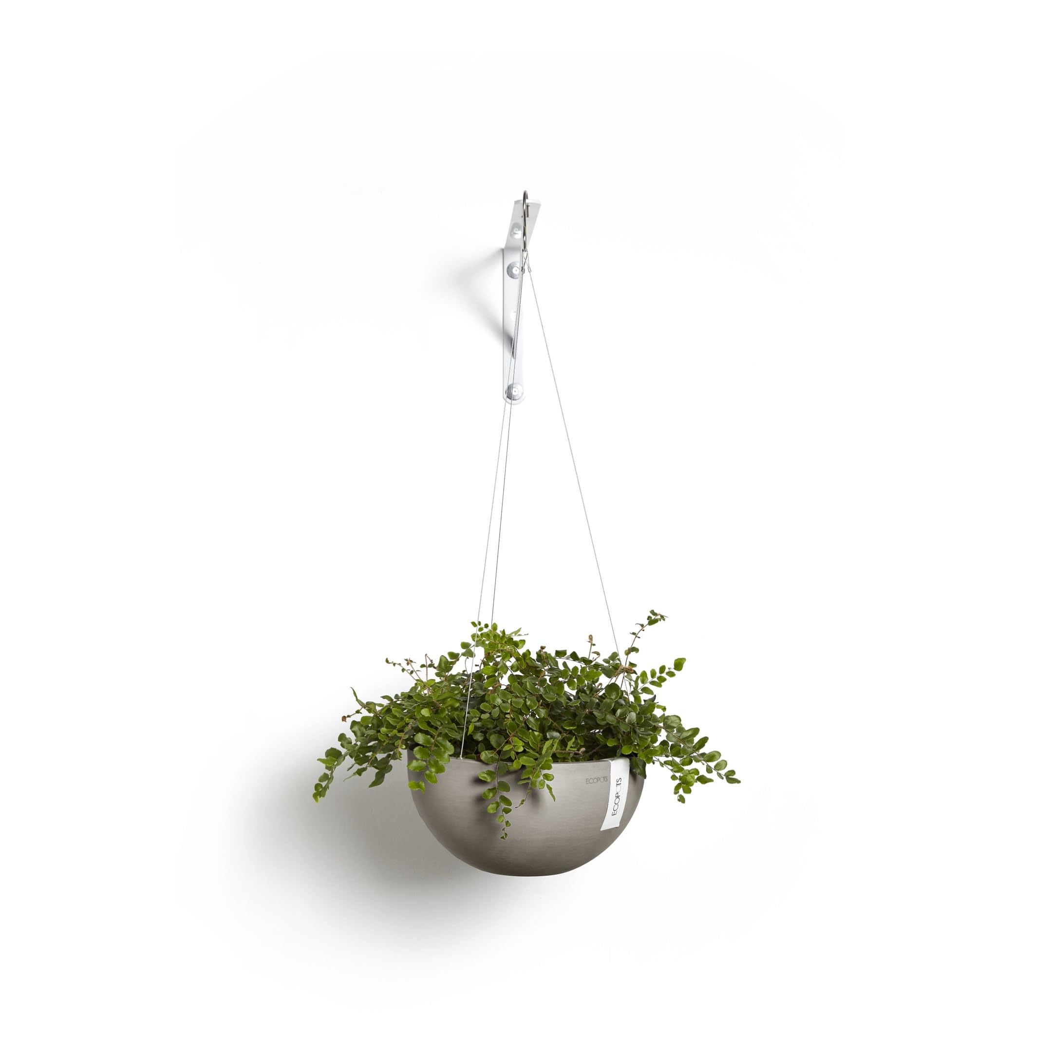 Hanging Brussels Small Bowl Planter - 13 in x 13 in x 6.5 in - Taupe - Taupe,13 in x 13 in x 6.5 in