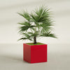 Montroy Large Cube Square Fiberglass Planter - 32 in x 32 in x 32 in - Gloss Red - Gloss Red,32 in x 32 in x 32 in