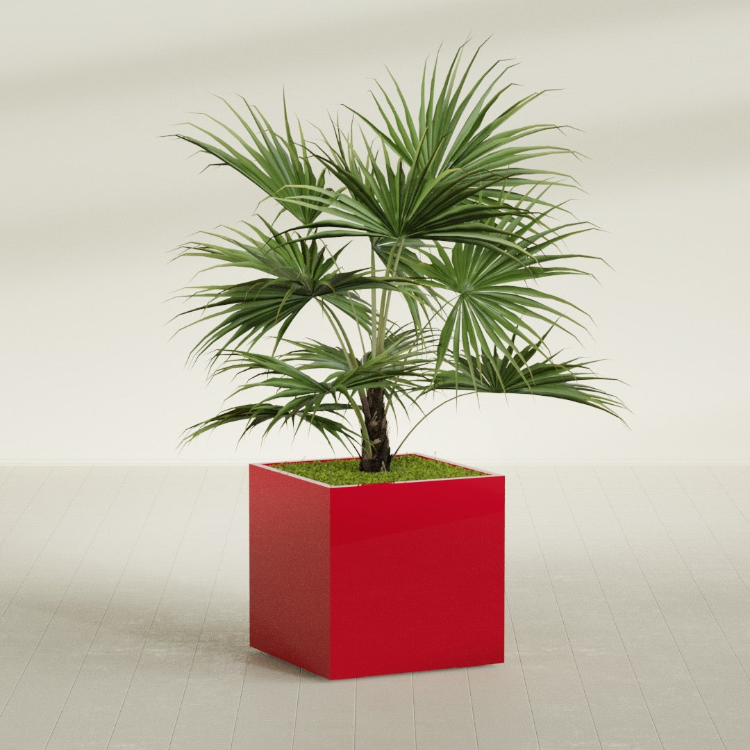 Montroy Large Cube Square Fiberglass Planter - 32 in x 32 in x 32 in - Gloss Red - Gloss Red,32 in x 32 in x 32 in